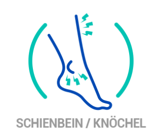 Schienbein-knochel